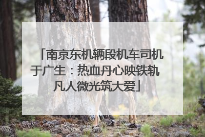 南京东机辆段机车司机于广生：热血丹心映铁轨 凡人微光筑大爱