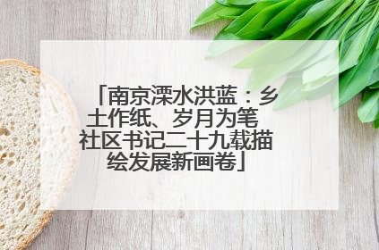 南京溧水洪蓝：乡土作纸、岁月为笔 社区书记二十九载描绘发展新画卷