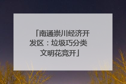 南通崇川经济开发区：垃圾巧分类 文明花竞开