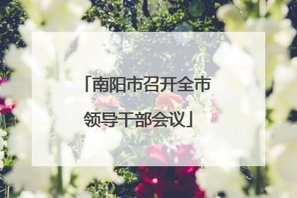 南阳市召开全市领导干部会议