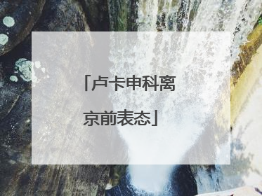 卢卡申科离京前表态
