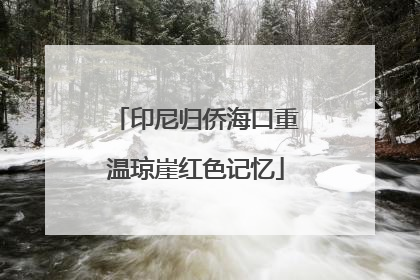 印尼归侨海口重温琼崖红色记忆
