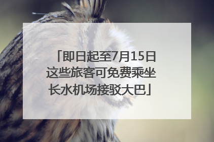 即日起至7月15日 这些旅客可免费乘坐长水机场接驳大巴