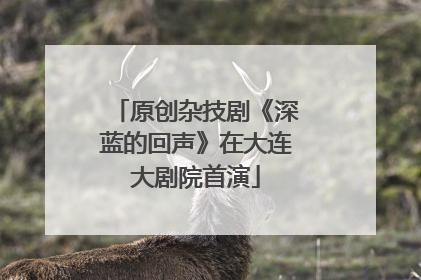 原创杂技剧《深蓝的回声》在大连大剧院首演