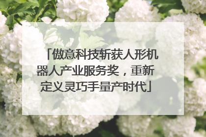 傲意科技斩获人形机器人产业服务奖，重新定义灵巧手量产时代
