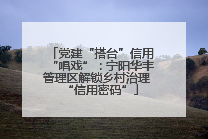 党建“搭台”信用“唱戏”：宁阳华丰管理区解锁乡村治理“信用密码”