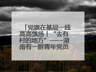 党旗在基层一线高高飘扬丨“去有村的地方”——湖南有一群青年党员这样选择