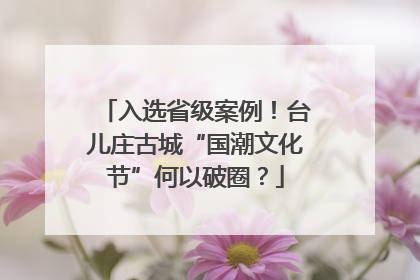 入选省级案例！台儿庄古城“国潮文化节”何以破圈？