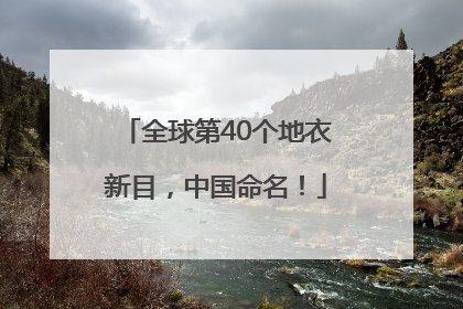 全球第40个地衣新目，中国命名！