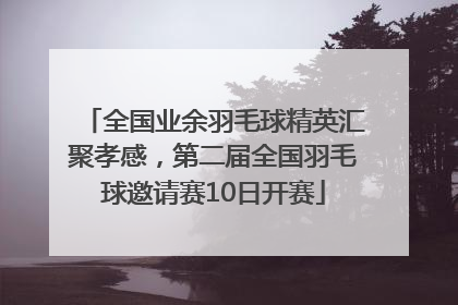 全国业余羽毛球精英汇聚孝感，第二届全国羽毛球邀请赛10日开赛