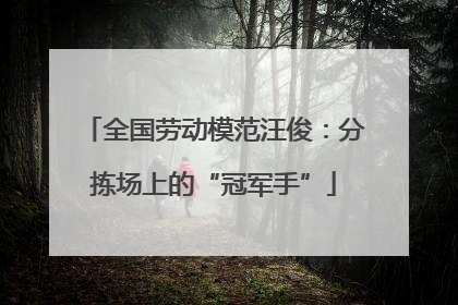 全国劳动模范汪俊：分拣场上的“冠军手”
