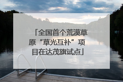 全国首个荒漠草原“草光互补”项目在达茂旗试点