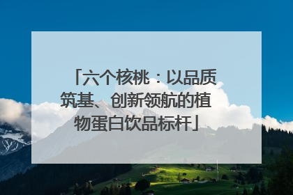 六个核桃：以品质筑基、创新领航的植物蛋白饮品标杆