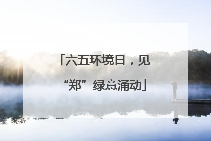 六五环境日，见“郑”绿意涌动