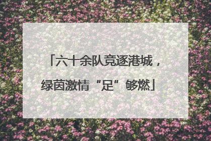 六十余队竞逐港城，绿茵激情“足”够燃
