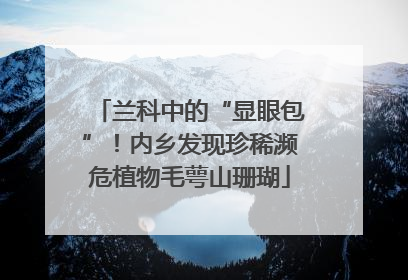兰科中的“显眼包”！内乡发现珍稀濒危植物毛萼山珊瑚