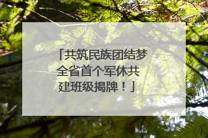 共筑民族团结梦 全省首个军休共建班级揭牌！