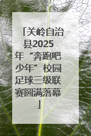 关岭自治县2025年“奔跑吧少年”校园足球三级联赛圆满落幕