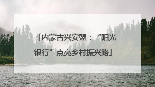 内蒙古兴安盟：“阳光银行”点亮乡村振兴路
