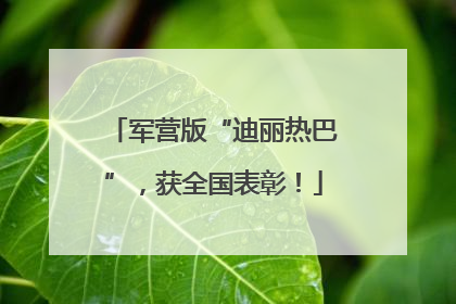 军营版“迪丽热巴”，获全国表彰！
