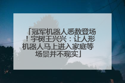 冠军机器人悉数登场！宇树王兴兴：让人形机器人马上进入家庭等场景并不现实