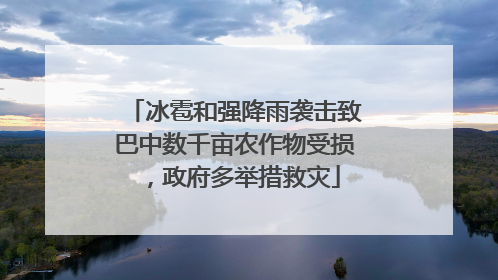 冰雹和强降雨袭击致巴中数千亩农作物受损，政府多举措救灾