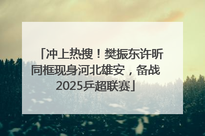 冲上热搜！樊振东许昕同框现身河北雄安，备战2025乒超联赛