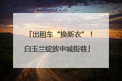 出租车“换新衣”！白玉兰绽放申城街巷