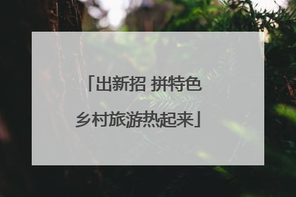 出新招 拼特色 乡村旅游热起来