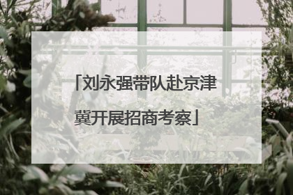 刘永强带队赴京津冀开展招商考察