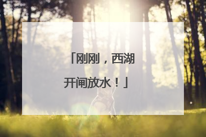 刚刚，西湖开闸放水！