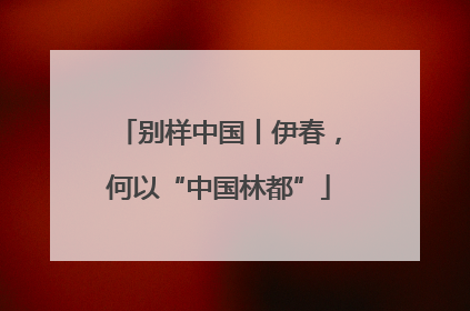 别样中国丨伊春，何以“中国林都”