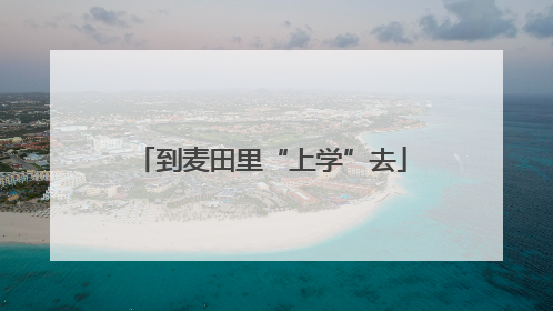 到麦田里“上学”去