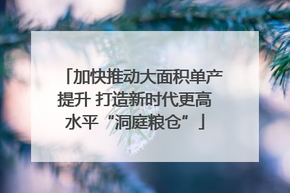 加快推动大面积单产提升 打造新时代更高水平“洞庭粮仓”