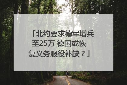 北约要求德军增兵至25万 德国或恢复义务服役补缺？