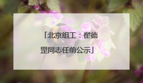北京组工：翟德罡同志任前公示