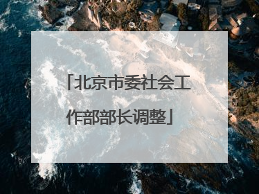 北京市委社会工作部部长调整