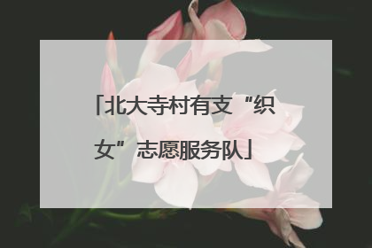 北大寺村有支“织女”志愿服务队