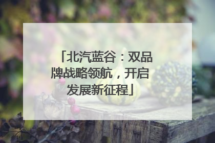 北汽蓝谷：双品牌战略领航，开启发展新征程