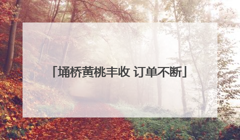 埇桥黄桃丰收 订单不断