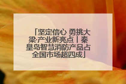 坚定信心 勇挑大梁·产业新亮点丨秦皇岛智慧消防产品占全国市场超四成