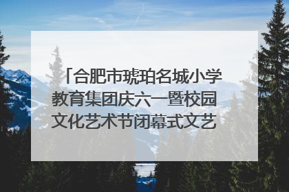 合肥市琥珀名城小学教育集团庆六一暨校园文化艺术节闭幕式文艺汇演圆满举行