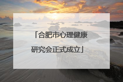 合肥市心理健康研究会正式成立