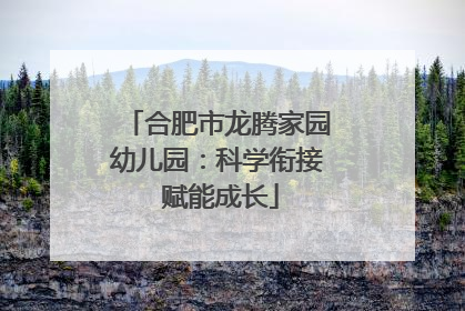 合肥市龙腾家园幼儿园：科学衔接 赋能成长