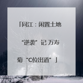 同江：闲置土地“逆袭”记 万寿菊“C位出道”