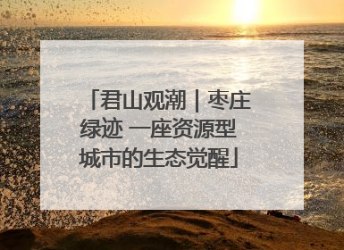 君山观潮｜枣庄绿迹 一座资源型城市的生态觉醒
