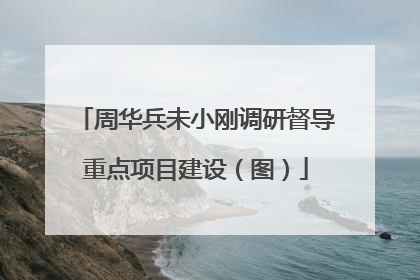 周华兵未小刚调研督导重点项目建设（图）