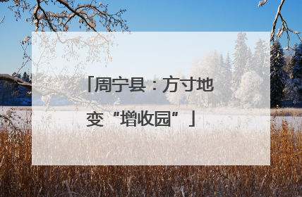 周宁县：方寸地变“增收园”