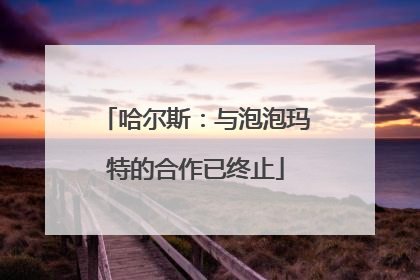 哈尔斯：与泡泡玛特的合作已终止