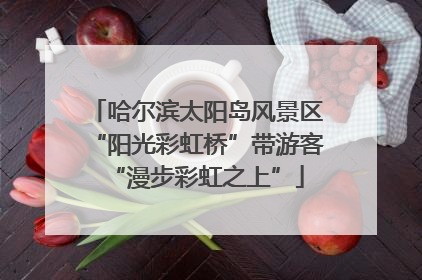 哈尔滨太阳岛风景区“阳光彩虹桥”带游客“漫步彩虹之上”